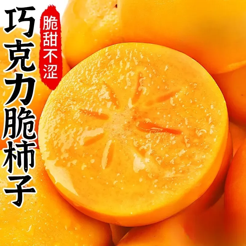 巧克力脆柿甜柿新鲜水果大柿子脆柿子冰糖心脆柿新鲜整箱包邮