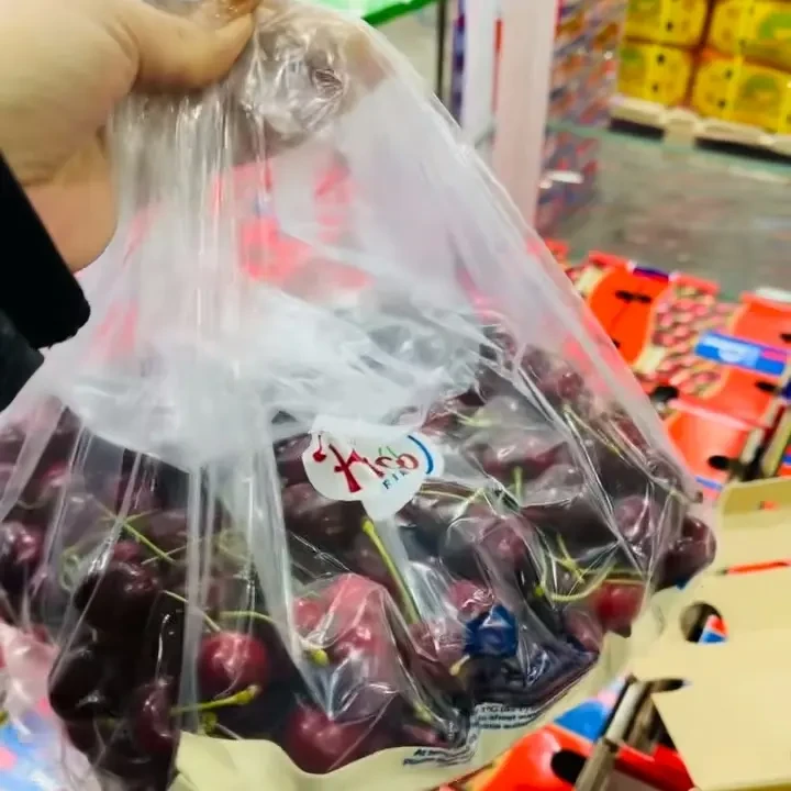 海运 桑缇娜 蓝P2J级内附果径卡