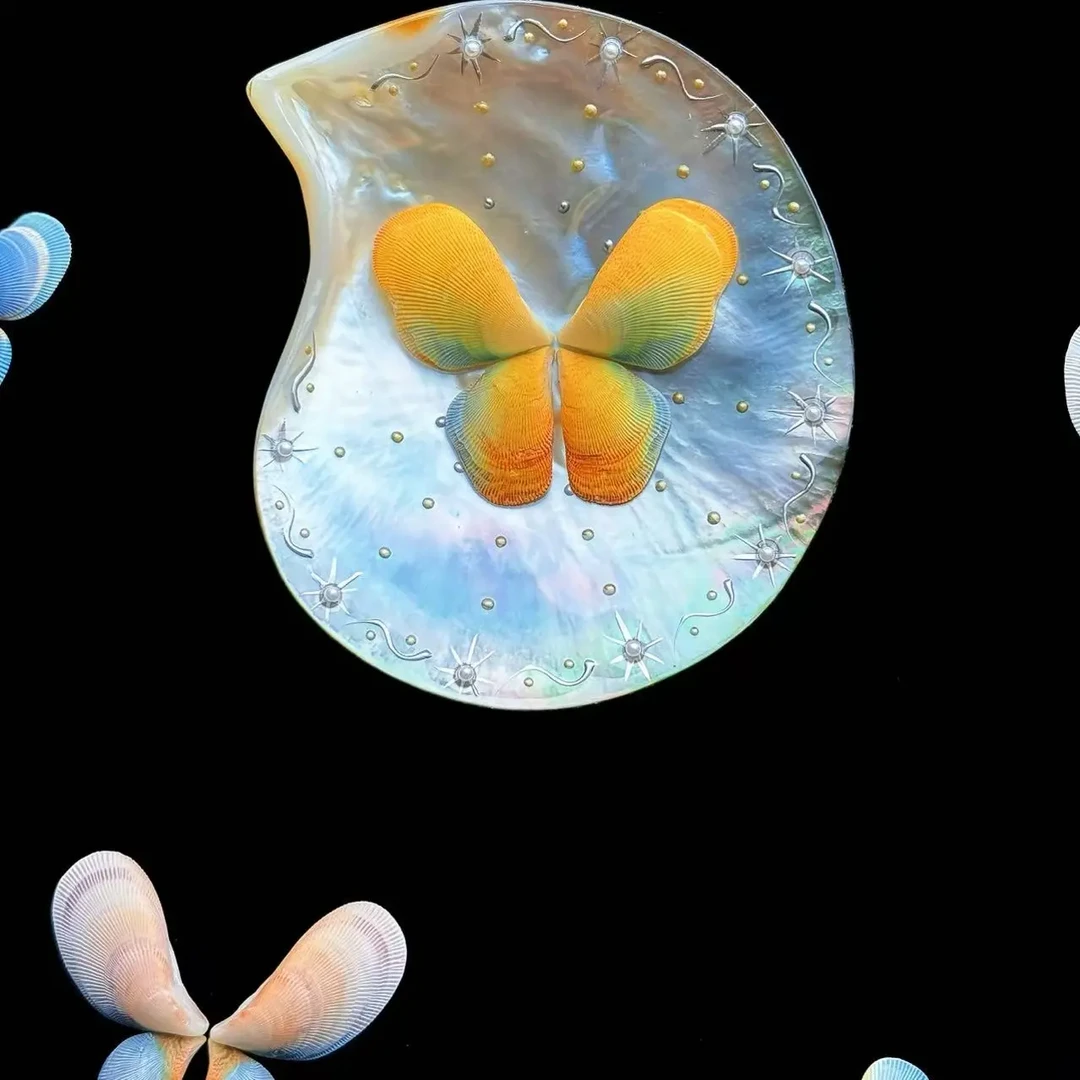 贻贝隔贻贝大海的礼物