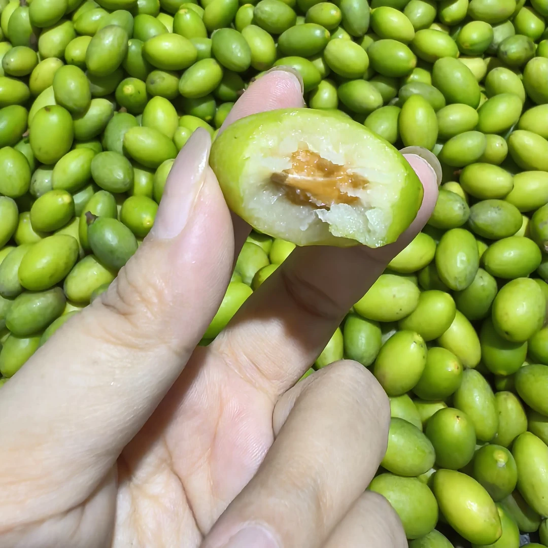 潮汕金灶 香种橄榄 新鲜 可生吃的特产水果