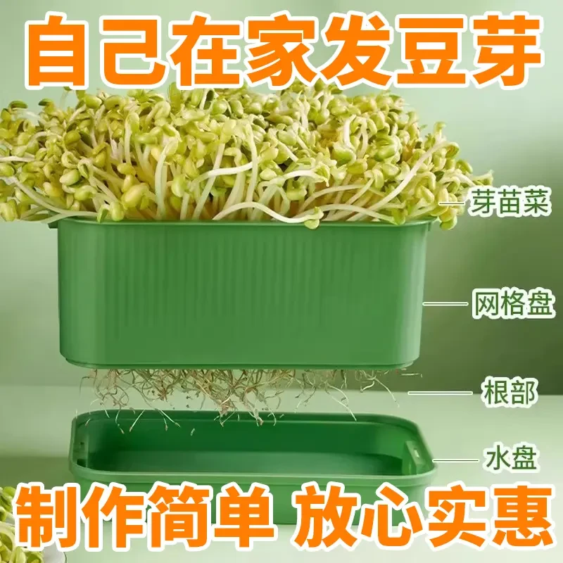 豆芽盆家用豆芽育苗盆种植发芽水培豆芽盆种菜专用盆