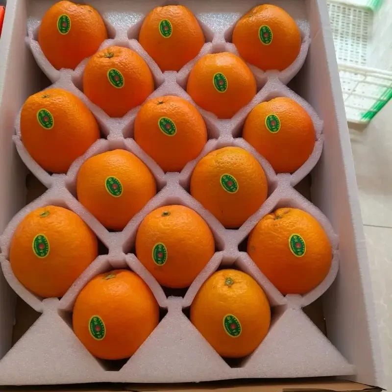 纽荷尔脐橙当季新鲜现摘甜橙子孕妇水果