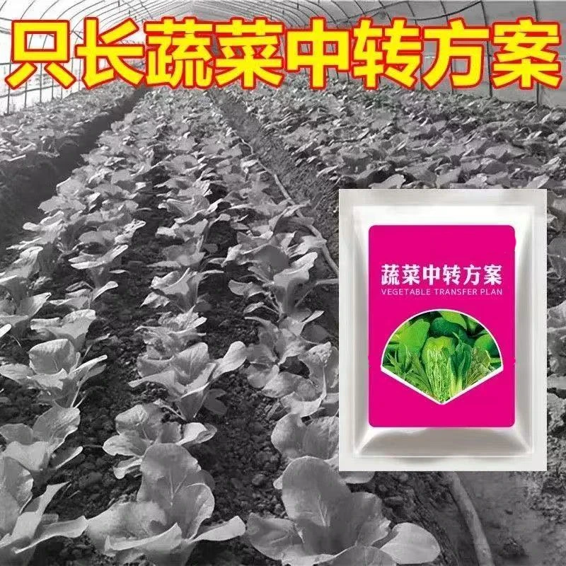 蔬菜中转方案套餐黄瓜辣椒瓜果蔬菜专用不伤作物安全高效