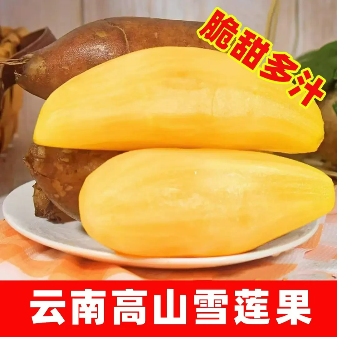 云南天山雪莲果清甜脆爽多汁黄心新鲜应季水果现挖产地包邮