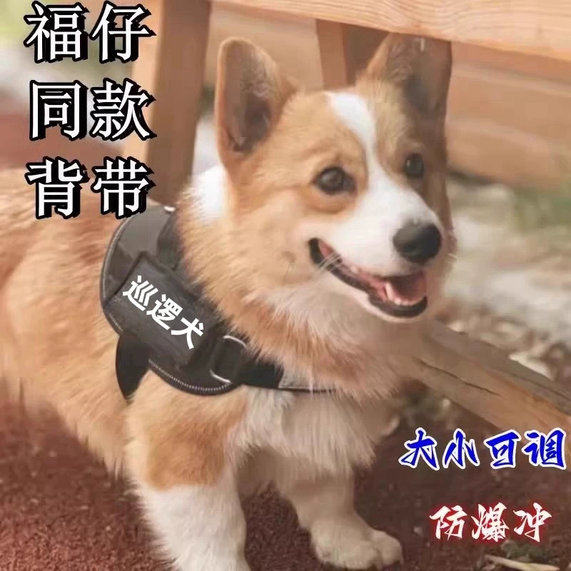 柯基福仔同款背带可调节防爆冲夜间反光带灯防丢德牧金毛狗狗通用