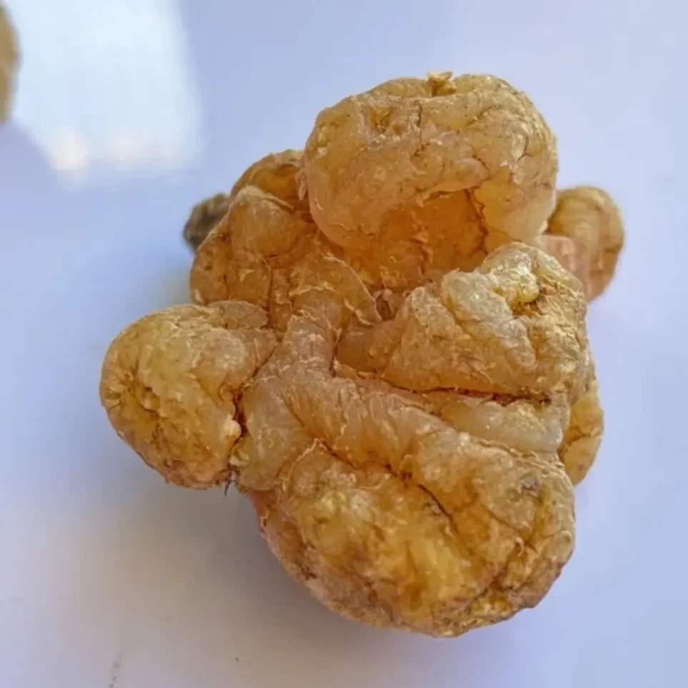 【云南土特产】山货玉精灵