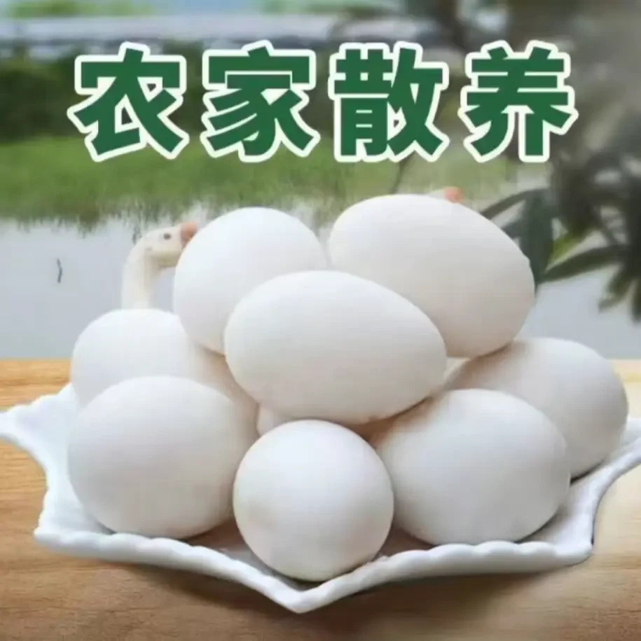 农家散养土鹅蛋 现捡现发12枚 80-100克