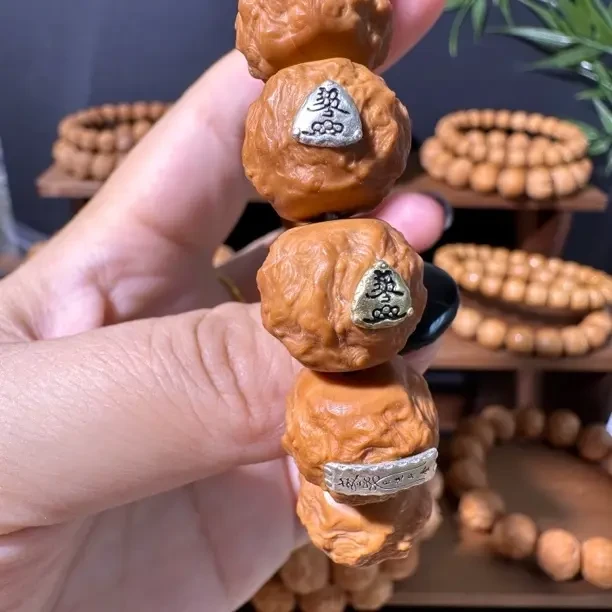 核堂出品-全品四标大龙蛇之变