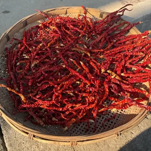 湖南特产竹根辣椒红色红辣椒农产皱皮辣椒微辣特香炒菜必备干辣椒
