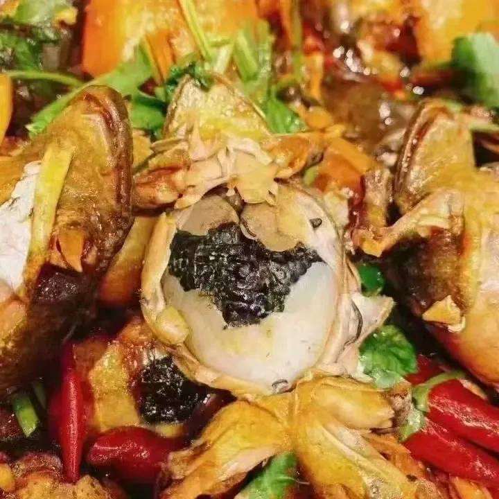 蛤蟆东北母豹子2025