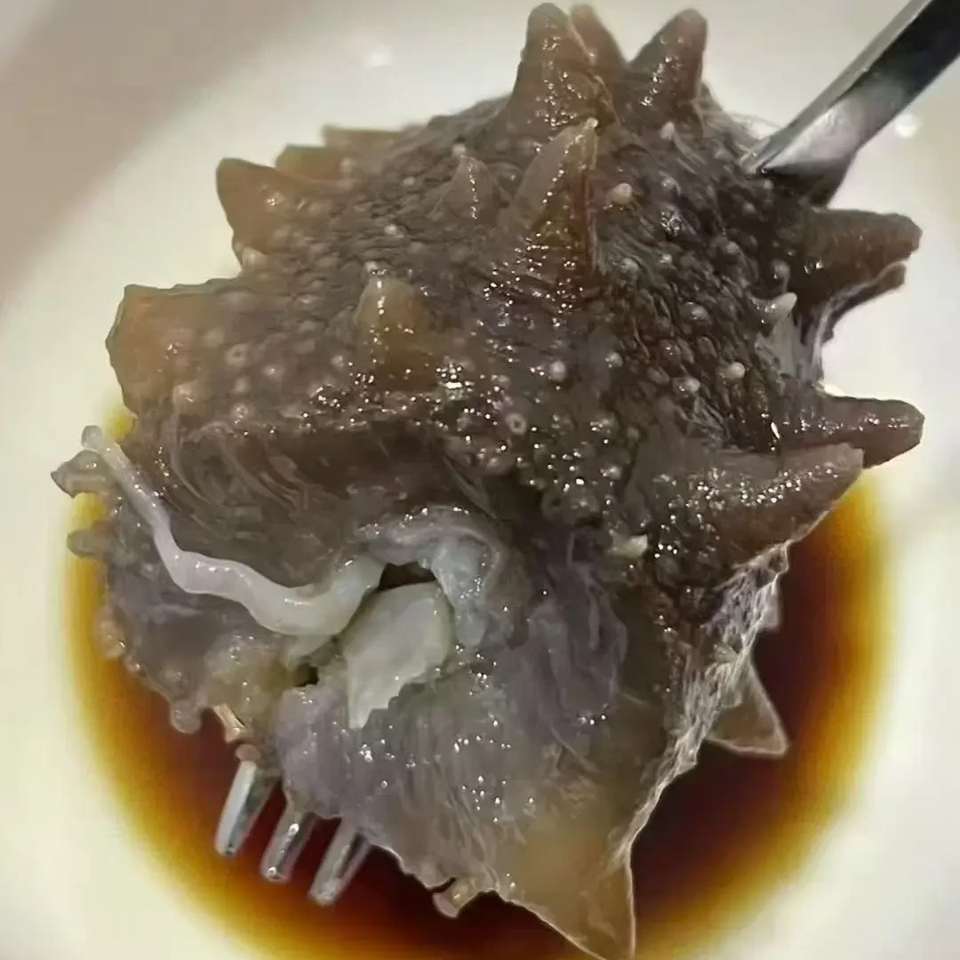 大连即食海参深海辽刺参独立真空包装顺丰包邮品质保证软硬适中