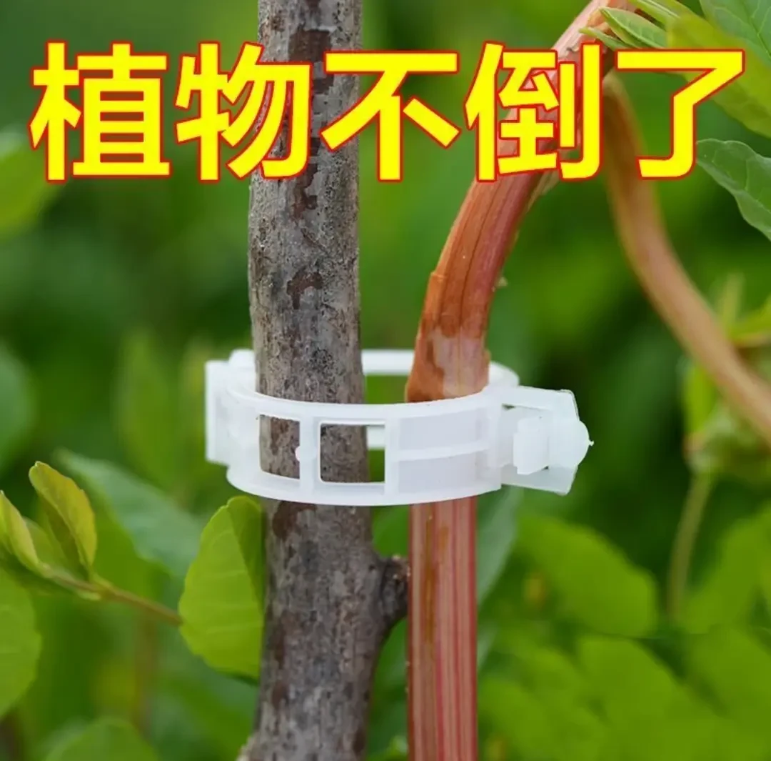 【100个！！！】果树绿植固定卡扣捆扎绑蔓夹番茄环扣吊放器