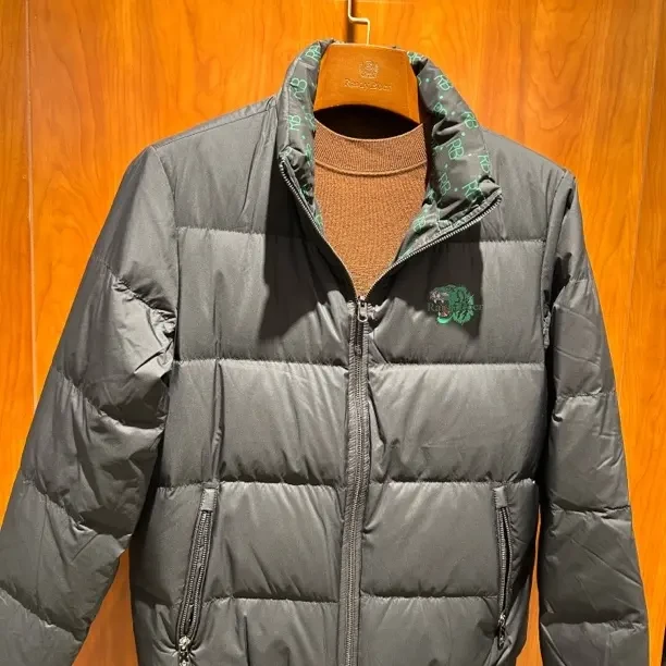 Raidy Boer/男士冬季休闲轻奢百搭立领加厚白鸭绒保暖羽绒服外套