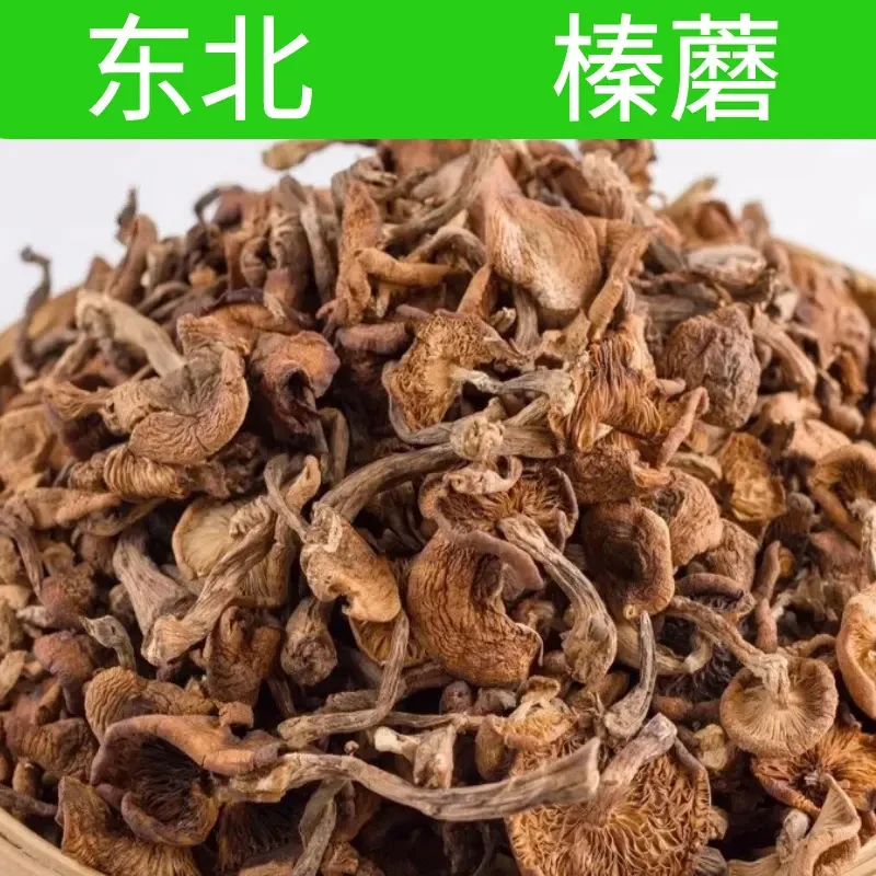 正宗东北榛蘑榛蘑菇小鸡炖蘑菇纯天然蘑菇钉无根无沙新货色泽纯正