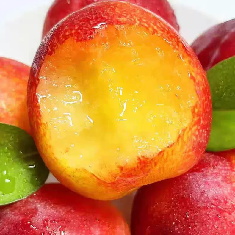 【糖果李】【纯甜无酸】新鲜脆甜贵州李子脱骨水果当应季蜂蜜李孕妇