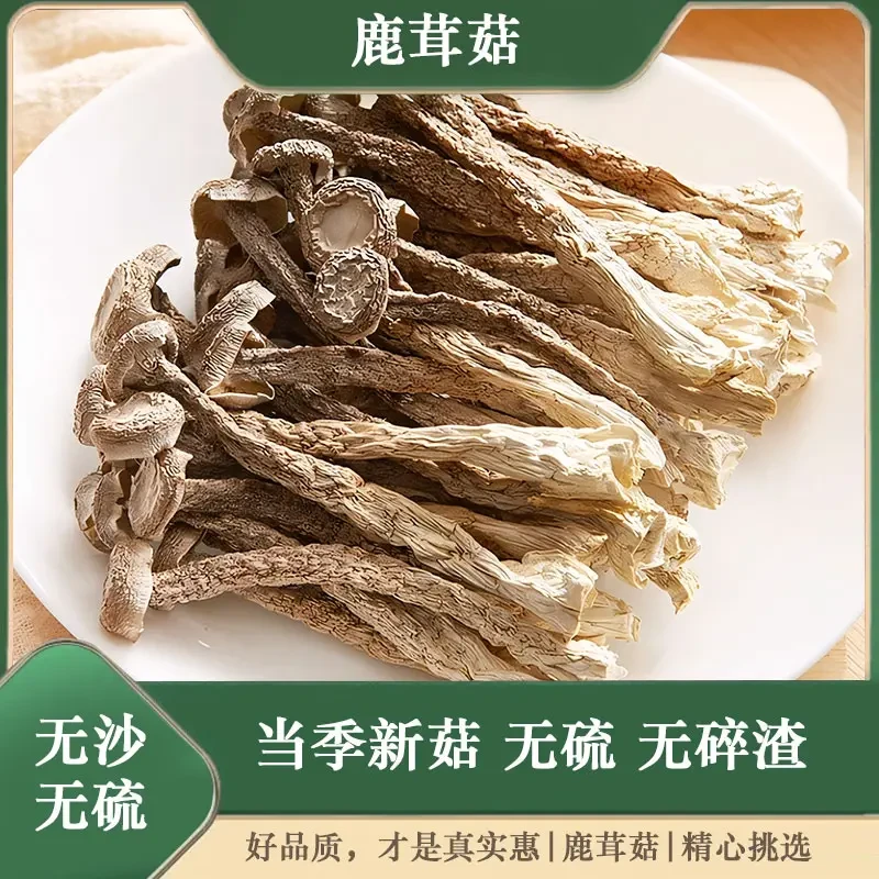 【高山鹿茸菇】新货无硫干货农家生鲜脆脆浓郁炖汤炖煲鸡汤营养炖肉