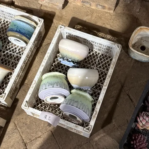 4个中号花盆 满50发货