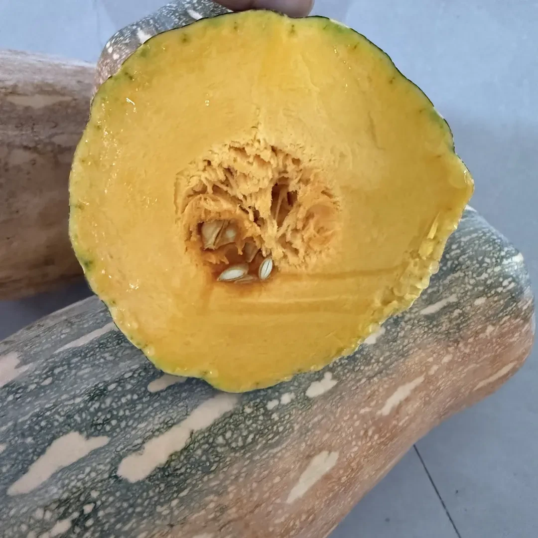 精品老南瓜黄南瓜密本南瓜新鲜炒南瓜中度成熟蜜本南瓜非贝贝南瓜