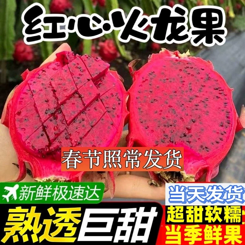 【京东专送】红心火龙果整箱产地直采