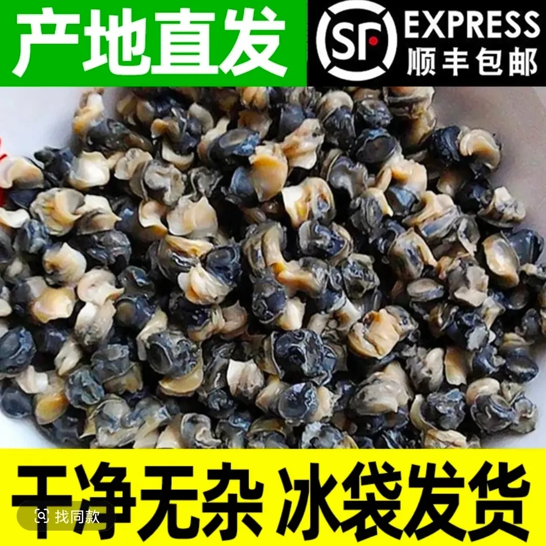 溪口水库新鲜现挑螺蛳肉真空独立包装可做螺蛳粉原料下饭菜