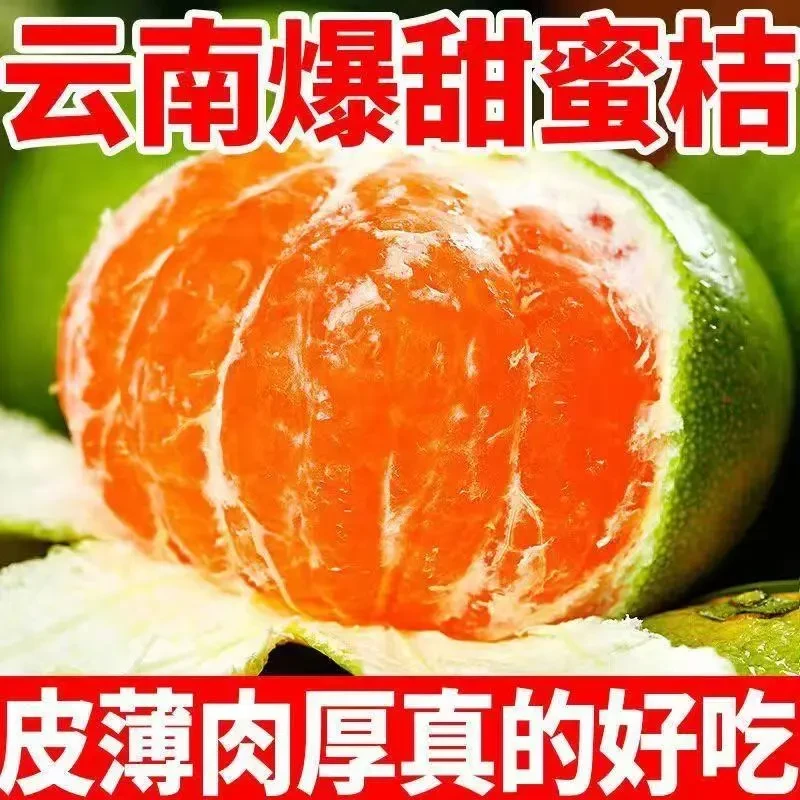正宗青皮柠檬蜜桔云南新鲜水果应季批发当季绿皮酸橘子