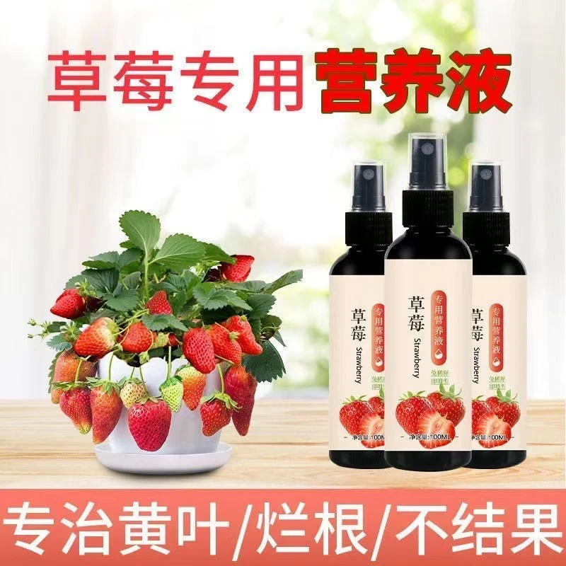 草莓专用营养液大果甜增产延长坐果期家用盆栽复合肥