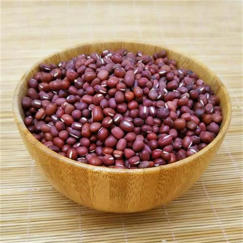 陕北红小豆散装简装食用农产品