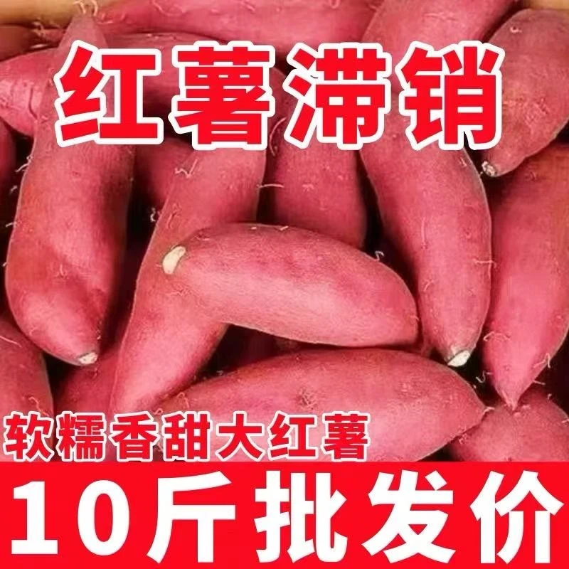 新鲜现挖沙地蜜薯1/9斤超甜烤红薯地瓜番薯水果消费券用券好物