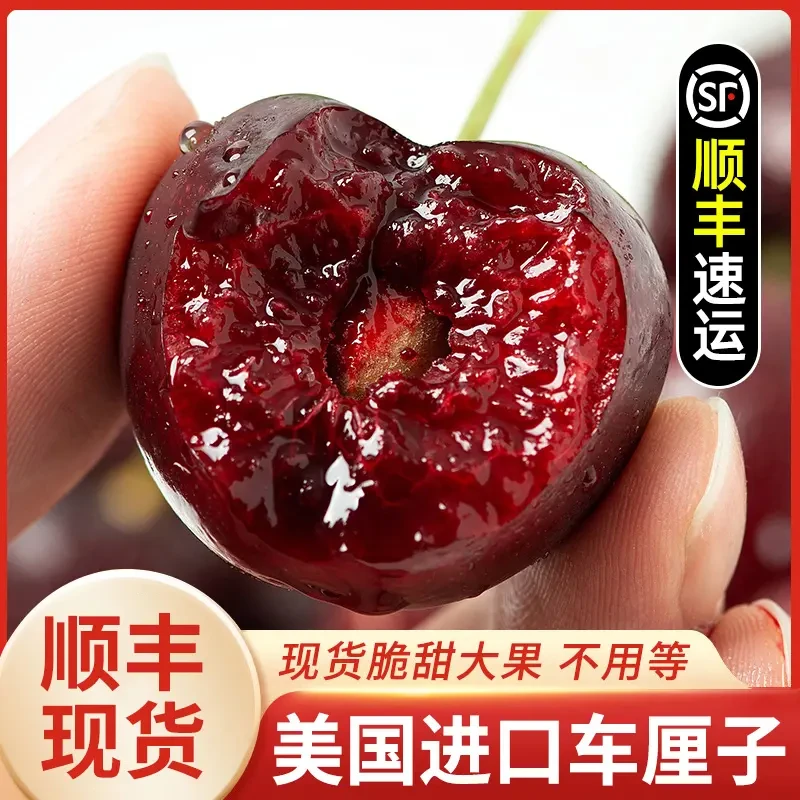 S2【顺丰】美国正宗车厘子当季脆甜樱桃当季水果1-3斤坏果包赔