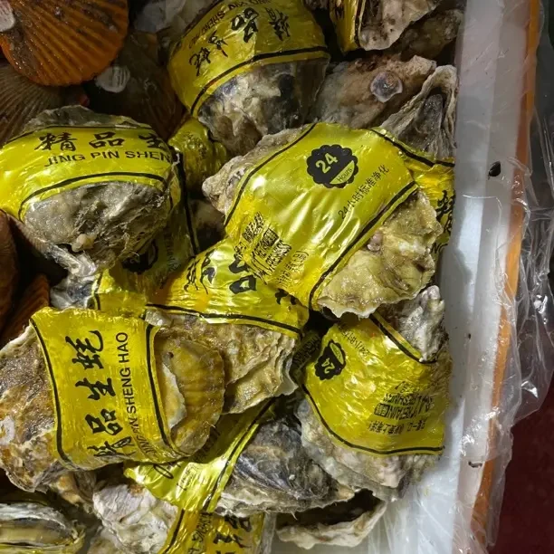 极品生蚝美味鲜嫩多汁10元3/只