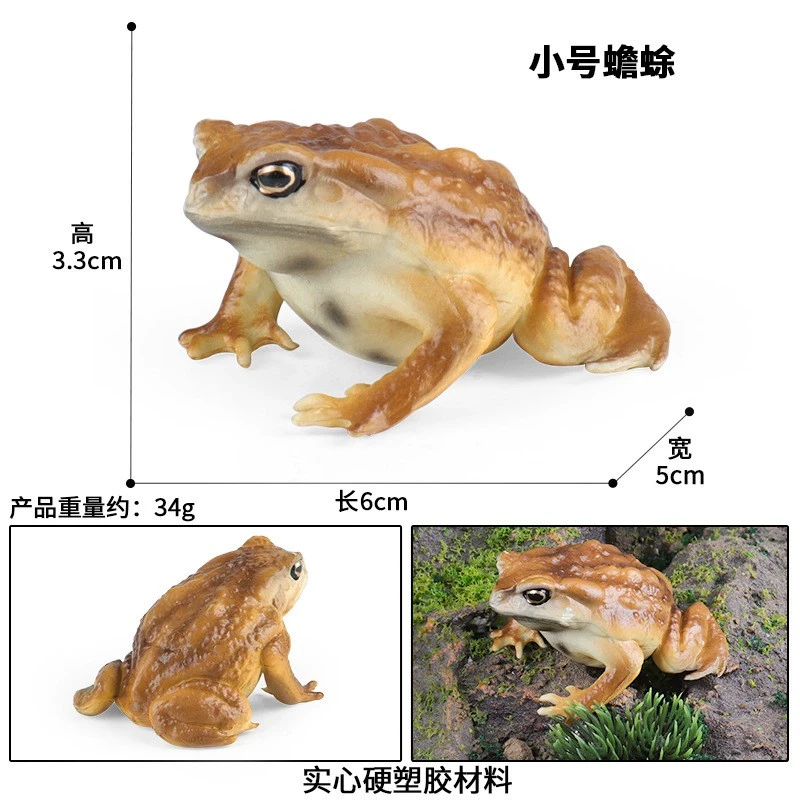 儿童认知玩具实心爬行仿真动物模型蟾蜍癞蛤蟆疥蛤蟆青蛙礼品摆件