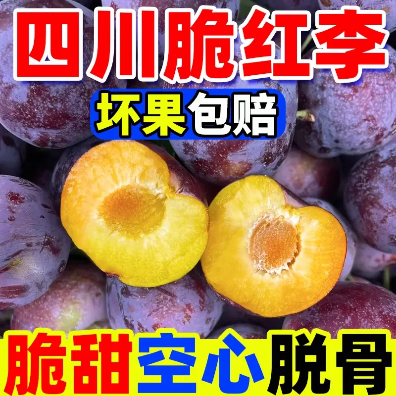 【顺丰冷链包邮】四川正宗脆红李小脆红新鲜应急水果脆甜多汁