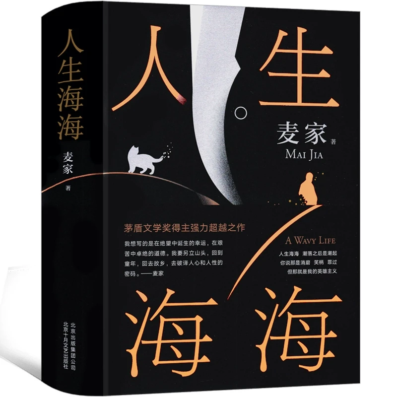 人生海海 麦家正版北京十月文艺出版社茅盾文学奖得主风声解密暗