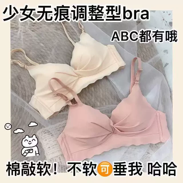 猫人内衣女性感夏季透气聚拢无钢圈小胸收副乳调整型少女文胸罩套