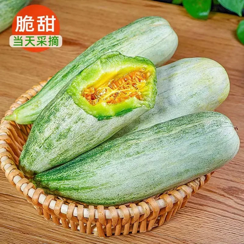正宗山东羊角蜜甜瓜脆甜多汁新鲜水果3/5斤包邮产地直发香瓜蜜瓜