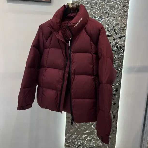 男士立领加厚保暖百搭短款白鸭绒羽绒服冬季