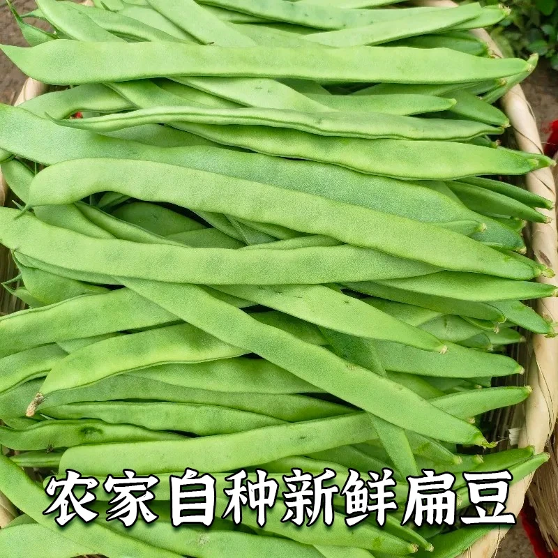 【京东混装】农民自卖现摘扁豆新鲜农家应季蔬菜无筋架豆王刀豆芸