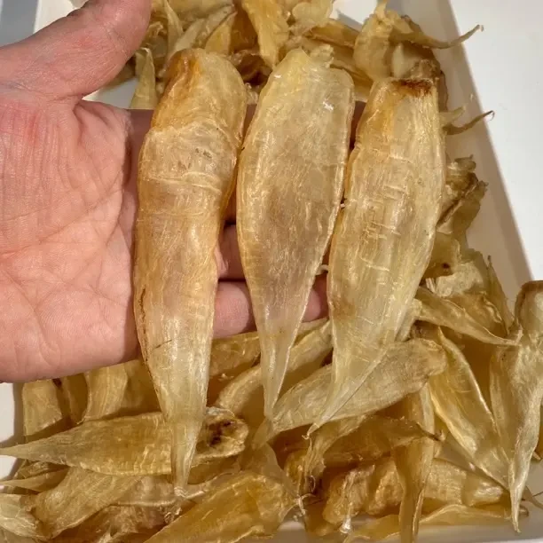 精选90豆仁母胶鱼胶花胶滋补干货适合煲汤炖奶