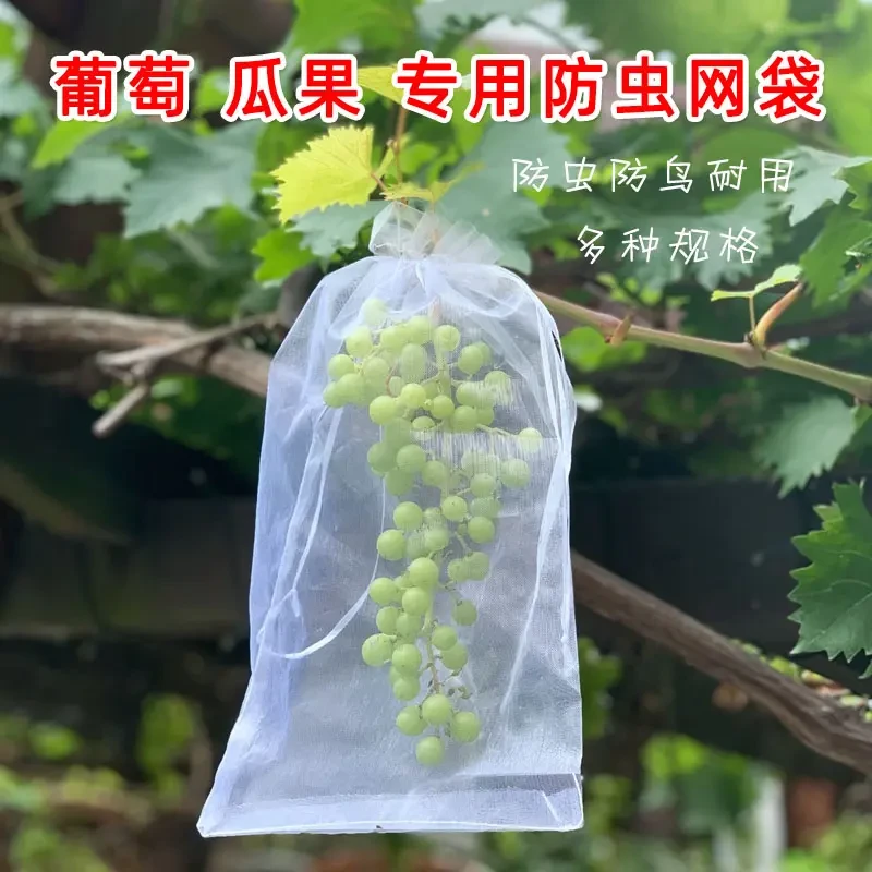 防鸟袋防虫网袋草莓葡萄无花果防鸟无纺布防鸟罩桃子保护袋防鸟
