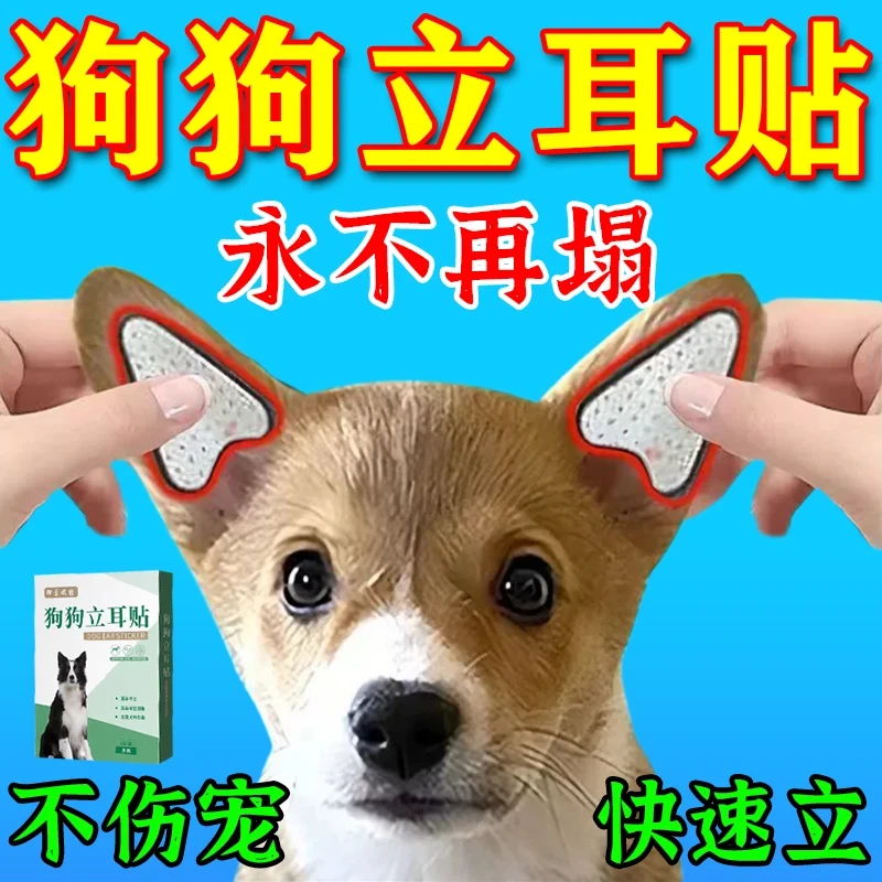 宠物狗狗立耳贴大型犬小型犬辅助耳朵矫正贴狗狗立耳神器