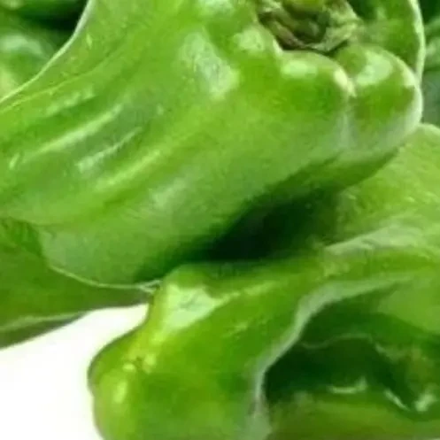 现摘现发新鲜薄皮微辣虎皮青椒应季蔬菜