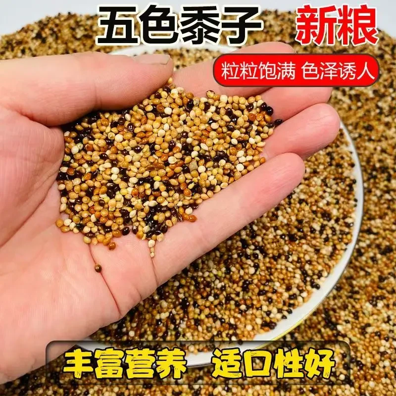 牡丹鹦鹉专用营养鸟粮鸟食5斤装厂家直发