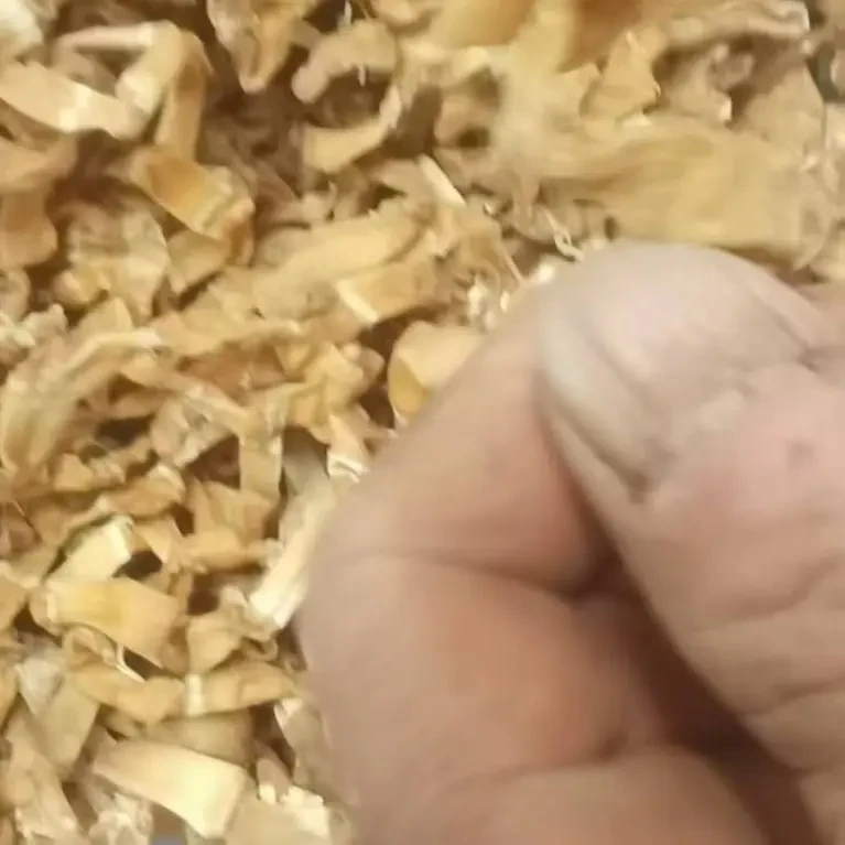 【村民代卖】城口高山木竹笋正宗炖肉煲汤笋香四溢