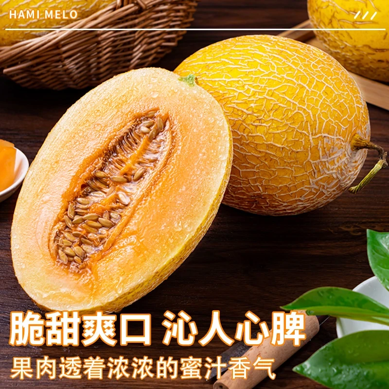 吐鲁番火焰山黄金哈蜜瓜金色年华新鲜水果脆甜多汁果肉香甜哈密瓜