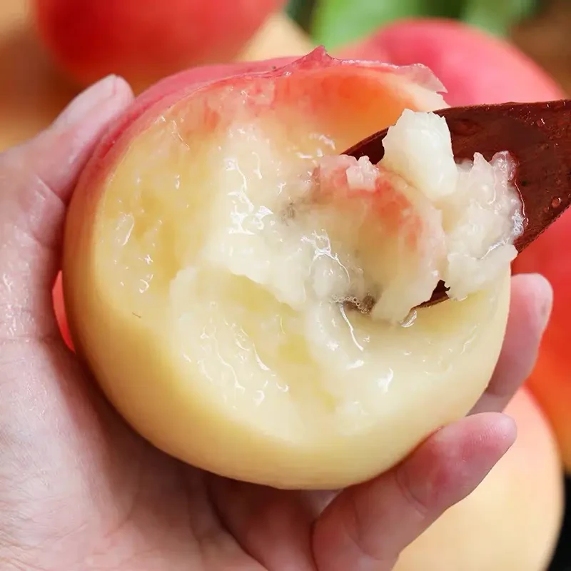 山西头茬水蜜桃果园直发新鲜采摘脆吃脆甜爽口软吃软糯香甜