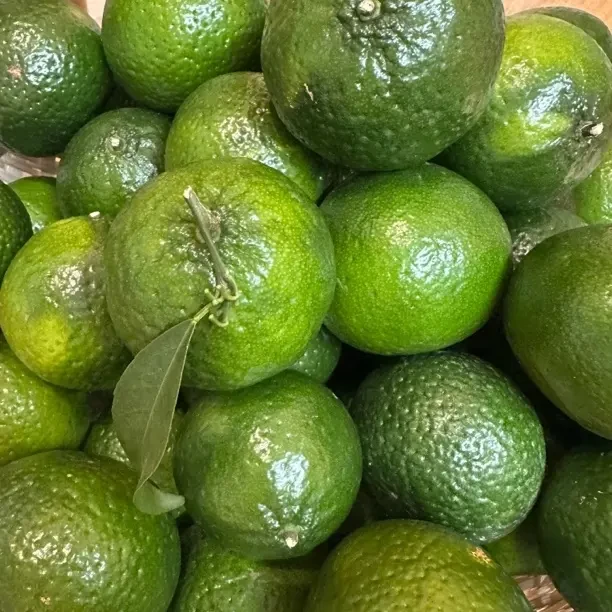 新会核心产地茶枝柑原枝大青果新会陈皮原材料手打柠檬茶台风新鲜