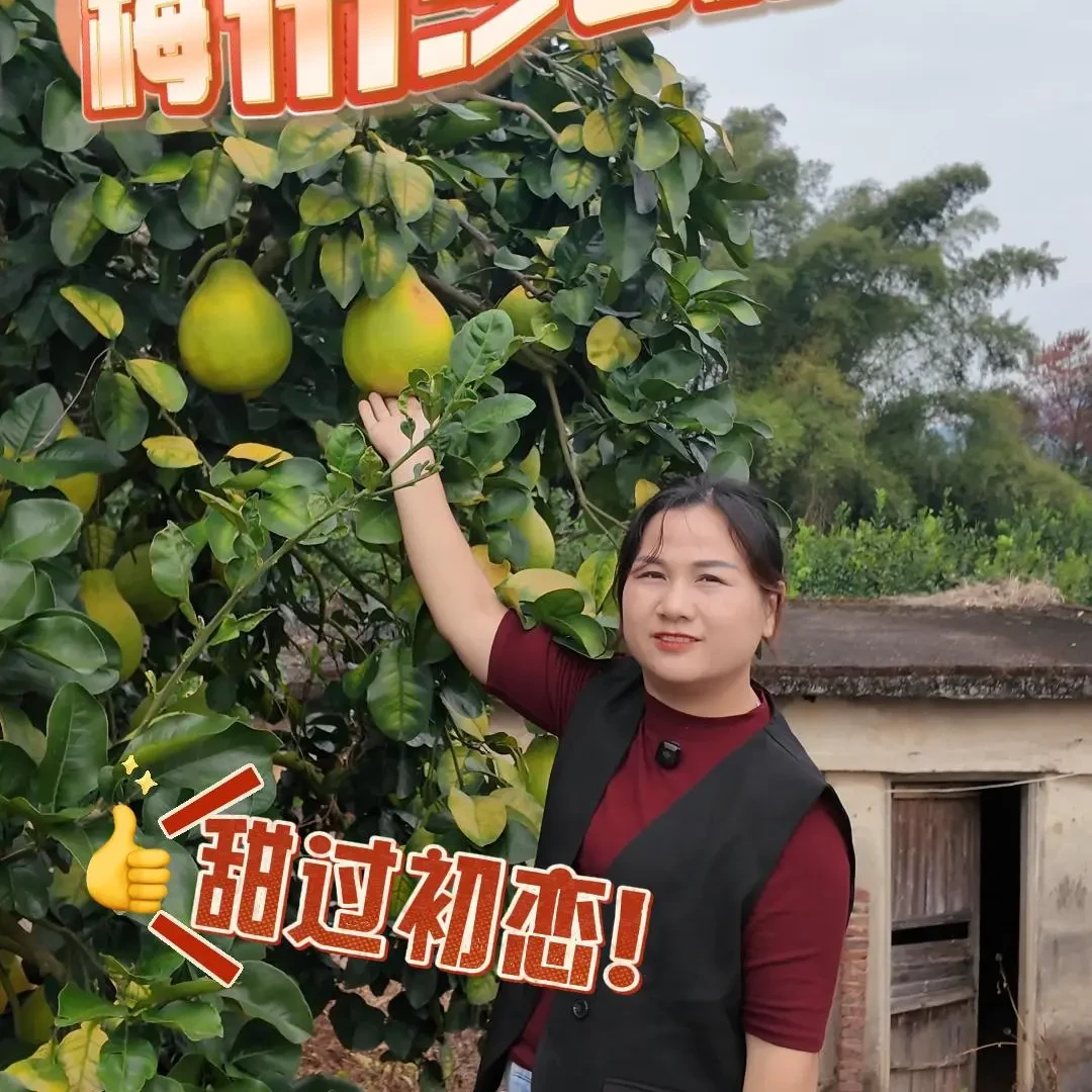 #爱妃助农梅州金柚新鲜当季水果应季时令鲜嫩多汁甜爽
