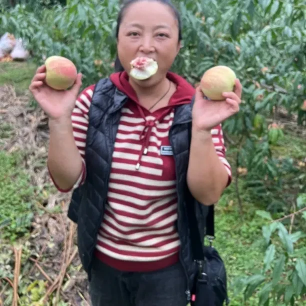 湖北晚熟雪桃新鲜应季脆甜多汁水果