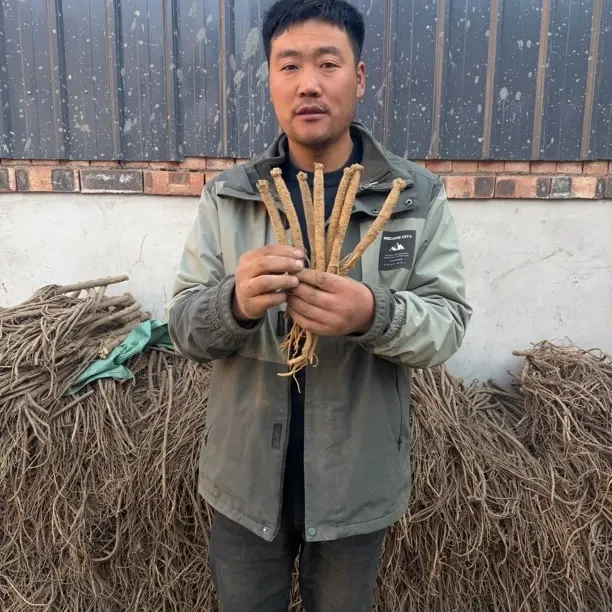 甘肃高海拔党参煲汤泡水煮水新鲜吃更美味500克，包邮无任何添加