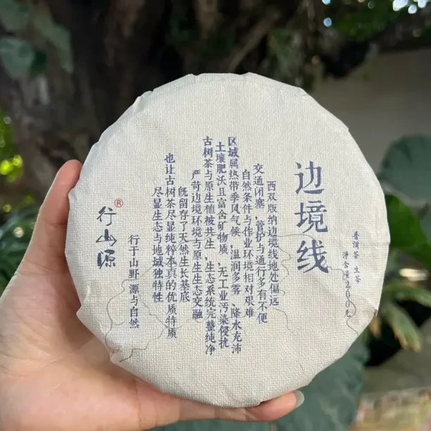 边境线古树头春普洱生茶饼森林韵味甜醇回甘200克/饼